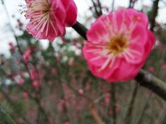 -乌山风景区