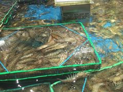 -盒马鲜生(财富中心店)