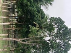 -海南文笔峰盘古文化旅游区