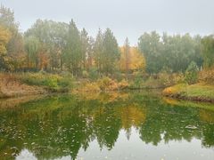 -大兴滨河森林公园