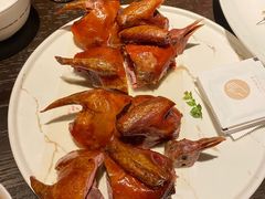 玻璃乳鸽-甄御•海鲜新青岛菜(麦岛店)