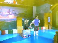 -顺德南宏海立方海洋公园