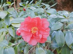 -云溪植物园