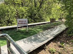 -富斯特索道