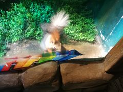 景点-华夏文旅海洋公园