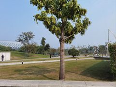 -深圳人才公园
