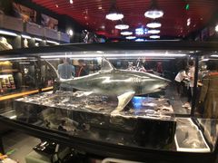-drivepro(三里屯店)