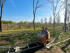 -圣露庄园·露营·烤肉·亲子