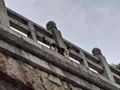 -四门塔风景区