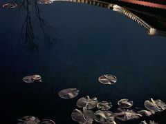 -西湖国宾馆·紫薇厅