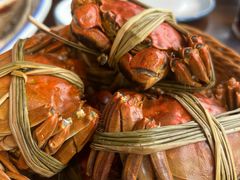 -蟹村草堂·苏式园林人文农家·大闸蟹