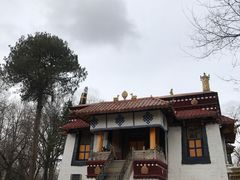 -罗布林卡