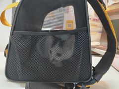 -御宝贝·A梦猫科宠物医院(国际猫友好医院)