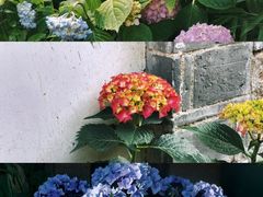 -老门东历史文化街区