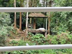 -广州长隆野生动物世界