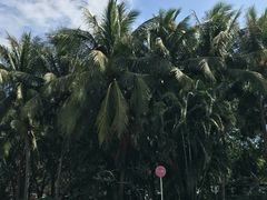-三亚亚龙湾红树林度假酒店