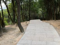 -火炉山森林公园