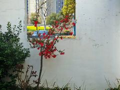 -鸿运酒楼