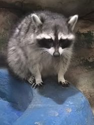 -未来动物城主题公园(正弘城店)