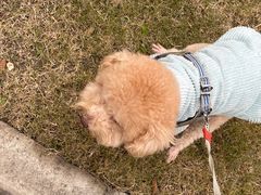 -骐奇宠物诊疗中心(南亭公路店)