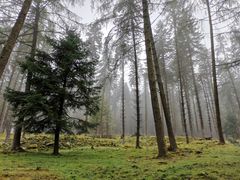 -硗碛藏寨·神木垒景区