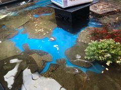 -盒马鲜生(宝地店)