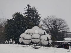 -金泽21世纪美术馆
