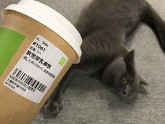 -奈雪的茶(中海环宇荟店)
