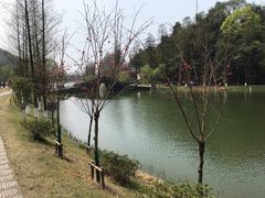 -常德桃花源景区