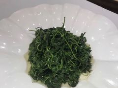 -席家花园(巨鹿花园店)
