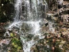 -本溪汤沟绿石谷森林公园