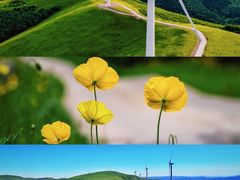 -百里天路