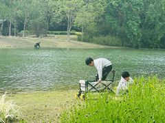 -长广溪湿地公园