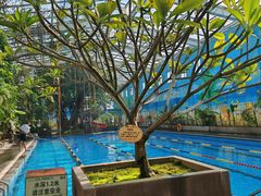 -观唐（国际）度假村温泉