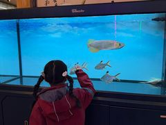 -六福烧烤酒馆(秦隆步行街店)