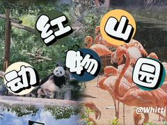 -红山森林动物园