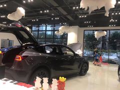 -TESLA 特斯拉(深圳观澜特斯拉直营钣喷中心)