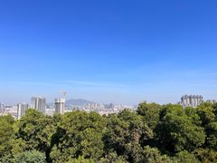 -四望岗公园