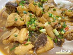 -全乐鱼馆·淳牌有机鱼直营店
