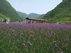 观澜格兰云天国际酒店-深圳观澜格兰云天国际酒店