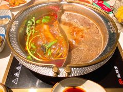 -温禾牛·和牛寿喜烧自助火锅(恒基名人店)