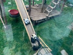 -大连森林动物园