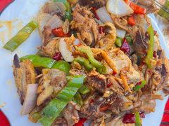 -尕胡才炕锅烤羊肉馆(八一路店)