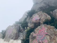 -白草畔自然风景区