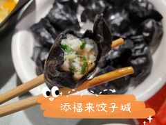 -添福来墨鱼饺子 · 海鲜东北菜(泡崖店)