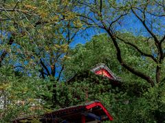 -华清宫景区