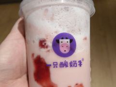 -一只酸奶牛(八一路店)