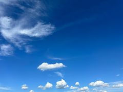 -日新铁锅焖面(坝上店)