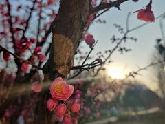 -滨湖塘西河公园