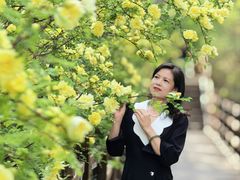 -小绿谷公园